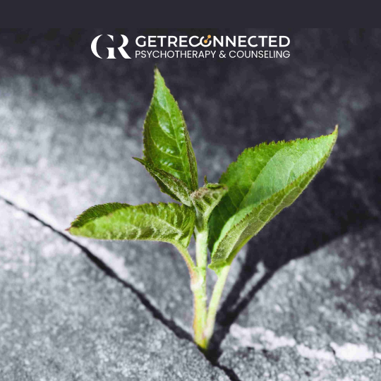 Coping with Infertility_ The Role of Fertility Counseling