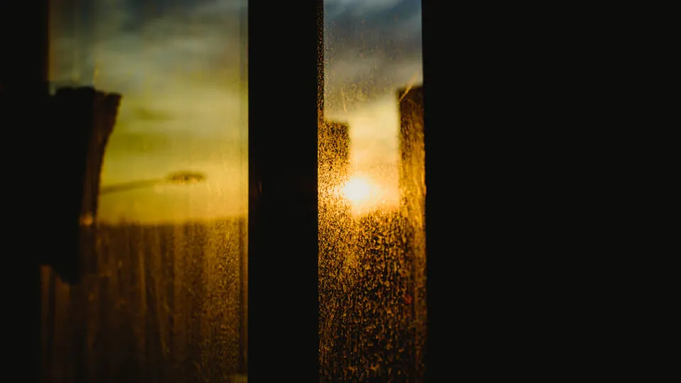 coping-negative-pregnancy-test